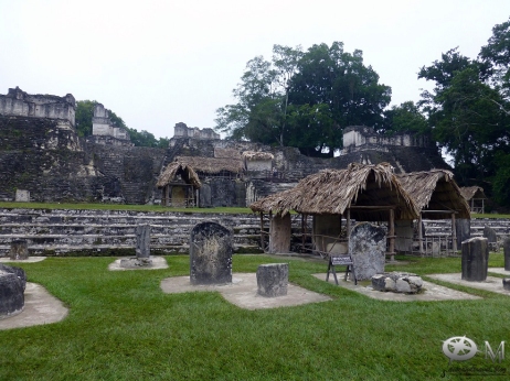 Guatemala 2017-Tikal 14